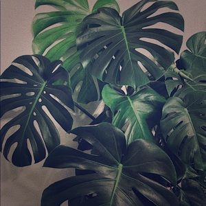 Meet your posher, Caitlin!